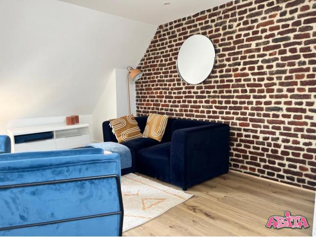 T1 bis mezzanine meublé wazemmes 47m²