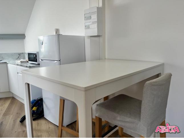 T1 bis mezzanine meublé wazemmes 47m²